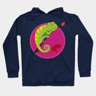 Chameleon Hoodie